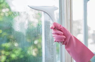 廷管家 專業(yè)家政與婚姻介紹，您的明智選擇